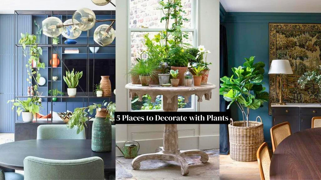 home decoration ideas with plants
