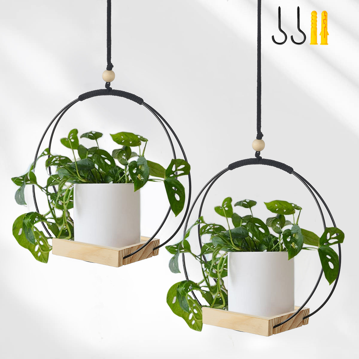 Buy Now Plant Hanger with Wood Base Online | ShinelohaBuy Now Plant Hanger with Wood Base Online | Shineloha