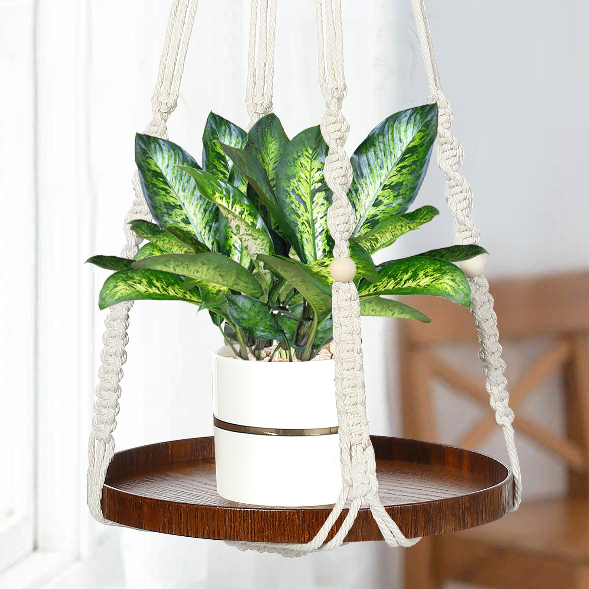 Buy Now Macrame Cotton Plant Hanger with Wooden Tray Online | Shineloha