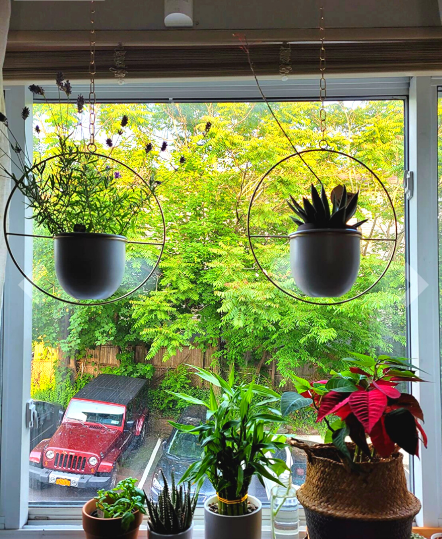 Buy Now Modern Metal Hanging Planters with 6 inch Pot Online | Shineloha