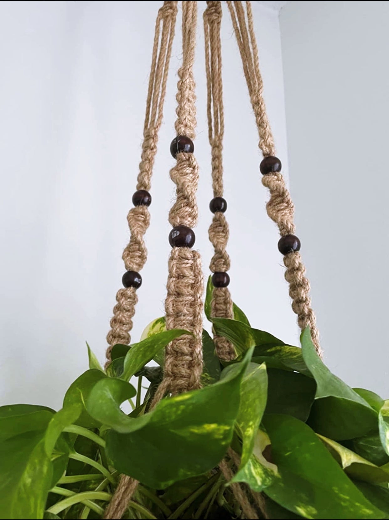 Buy Now Macrame Cotton Plant Hanger for Extra Large Plant Online