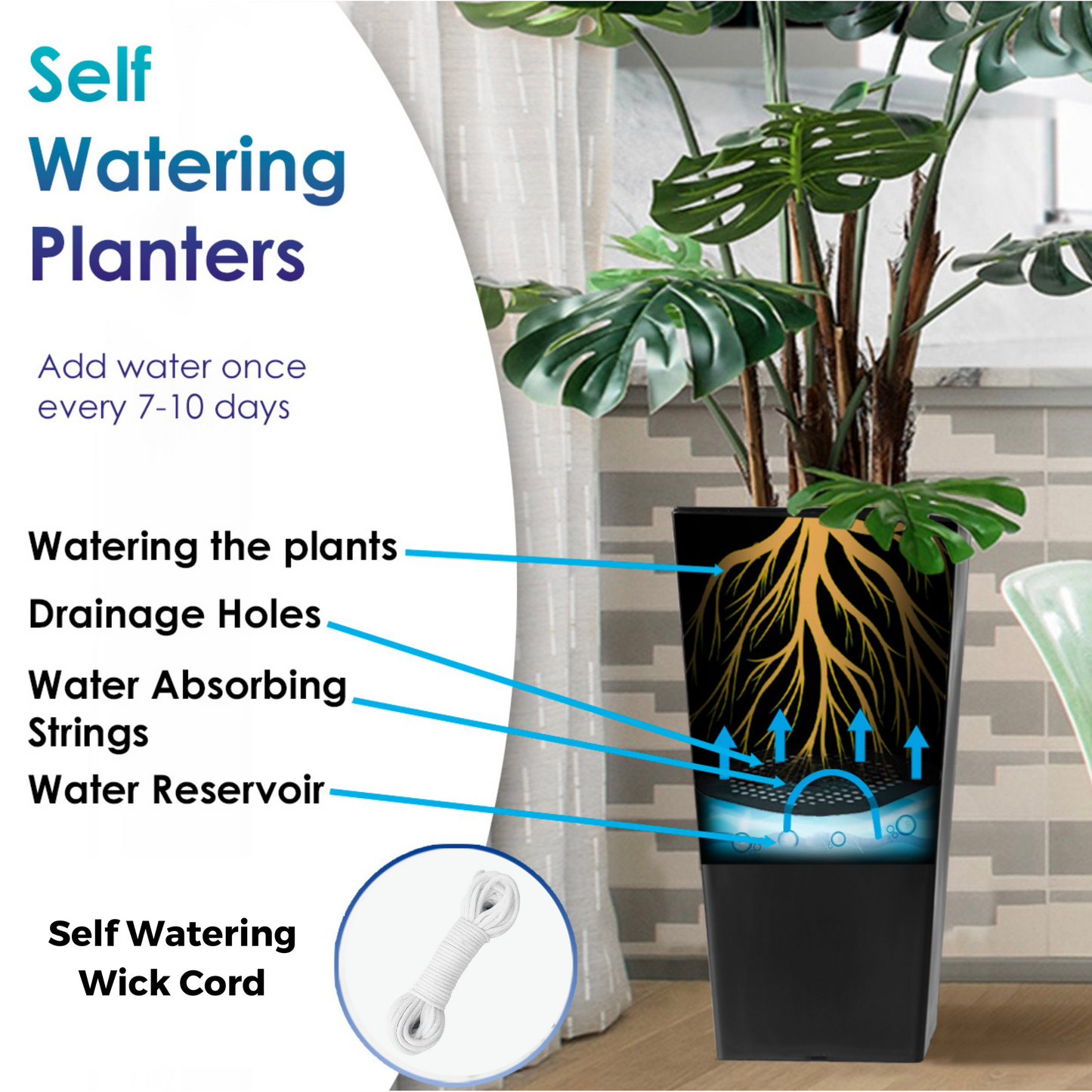 Buy Now Tall Planter with Planting Baskets (Self Watering) Online