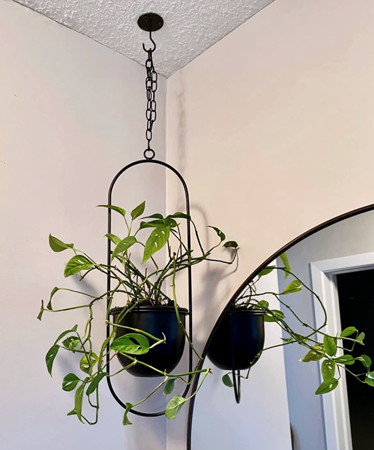Buy Now Metal Minimalist Hanging Planters with 6 inch Pot Online